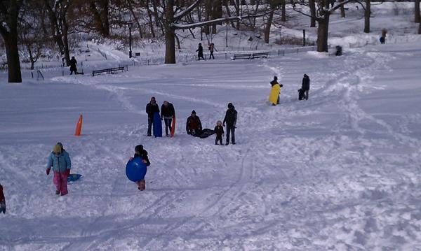 Sledding in Central Park Sledding in Central Park