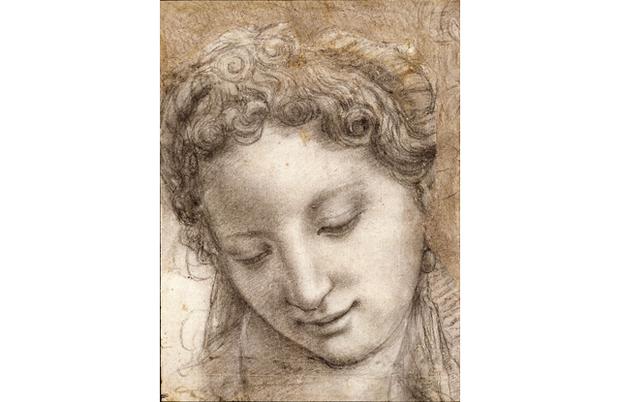 ca. 1542-43
Charcoal and black chalk (with stumping), highlighted with white chalk, on offwhite paper; some outlines stylus-incised ca. 1542-43
Charcoal and black chalk (with stumping), highlighted with white chalk, on offwhite paper; some outlines stylus-incised