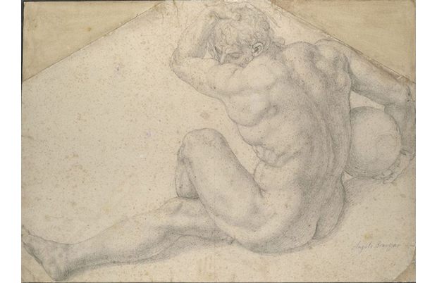 1565–69
Black chalk 13 x 18 1/4 in. (33 x 46.2 cm), corners cropped 1565–69
Black chalk 13 x 18 1/4 in. (33 x 46.2 cm), corners cropped