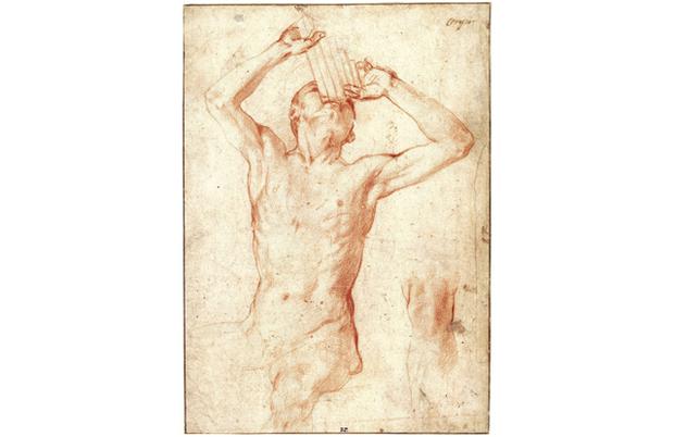 ca. 1530-32
Red chalk 10 x 7 1/16 in. ca. 1530-32
Red chalk 10 x 7 1/16 in.