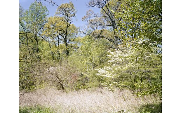 Near Alley Pond Environmental Center Near Alley Pond Environmental Center