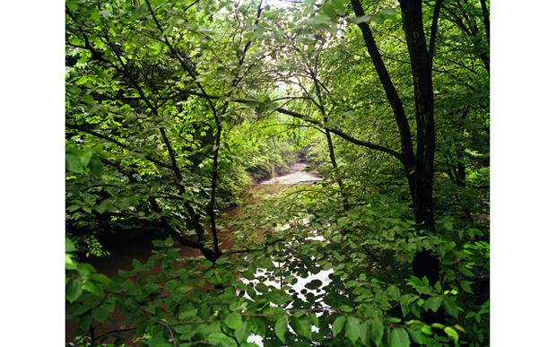 Bronx River, near the falls at Snuff Mill Bronx River, near the falls at Snuff Mill