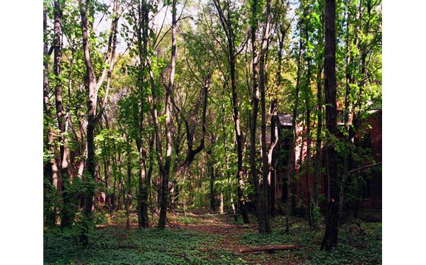 Riverside Hospital in woods Riverside Hospital in woods