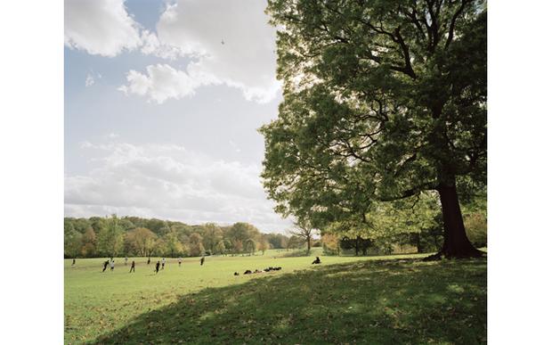 Long Meadow Long Meadow