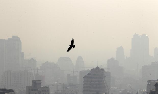 A bird flying in front of buildings in the Iranian capital Tehran. iran, pollution, tehran, skyline
