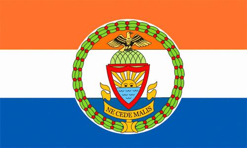 flag of the bronx