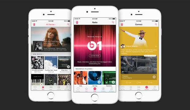Image result for apple music screenshots
