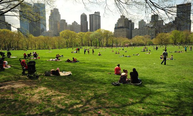 spring_central_park.jpeg