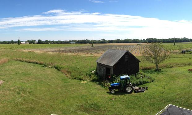 A visit to Southold Farm + Cellar, a family winery and vineyard, is a favorite day trip on the North Shore of Long Island.