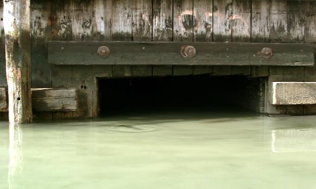 A jumping fish makes a ripple in the grey sewage discharge near a 'combined sewer overflow' (CSO) on the Gowanus. The CSO's are designed to flow in wet weather when runoff overwhelms the city's sewer
