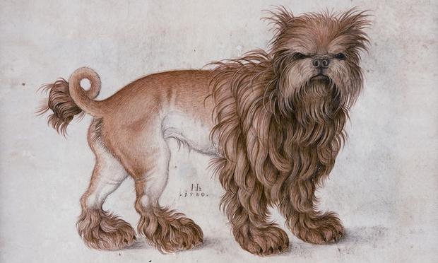 In the wake of the Westminster Dog Show: An all kinds of rad 1580 watercolor and gouache of an affenpinscher by Hans Hoffmann — now on display at the Morgan Library.