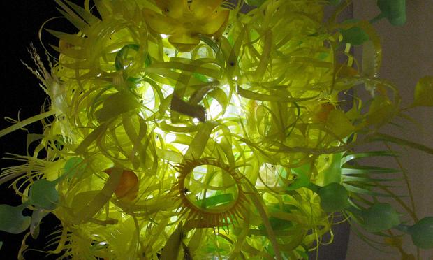 An illuminated sculpture crafted entirely with recycled plastic bottles by Aurora Robson, an artist participating in Bushwick Open Studios.