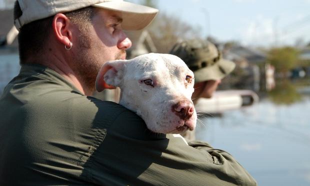 A striking image from Hurricane Katrina. Best Friends’ Jeff Popowich comforts a dog after it is rescued and brought into a boat in the streets of New Orleans. A striking image from Hurricane Katrina. Best Friends’ Jeff Popowich comforts a dog after it is rescued and brought into a boat in the streets of New Orleans.