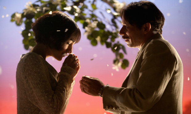 Golshifteh Farahani as Irâne and Mathieu Amalric as Nasser Ali in Chicken With Plums Golshifteh Farahani as Irâne and Mathieu Amalric as Nasser Ali in Chicken With Plums