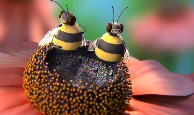 Bob and Kathy as bees on “Creature Comforts” Studio 360 Episode 824, Creatures, Milch, McEwan