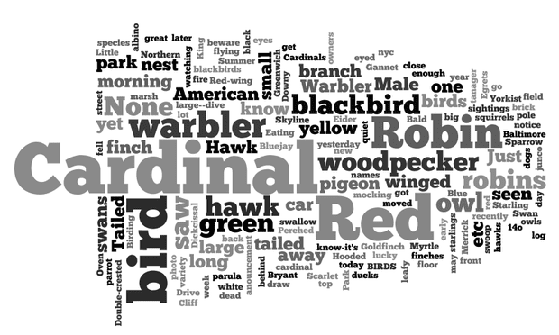 A Wordle image of the birds submitted to the WNYC and New York Times crowdsourced bird-watching map. A Wordle image of the birds submitted to the WNYC and New York Times crowdsourced bird-watching map.