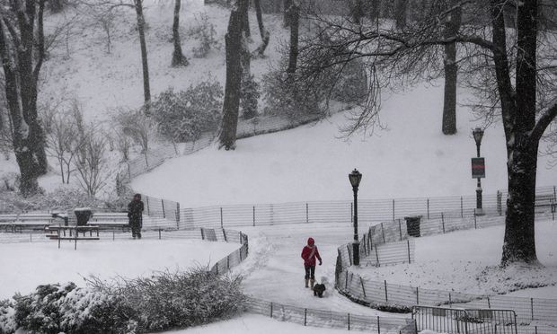 People walk through Central Park during a snowstorm February 10, 2010 in New York City.
