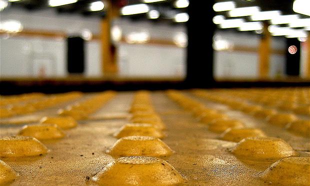 Safety bumps on a platform's edge look like proverbial fried eggs on a hot day in the subway.
