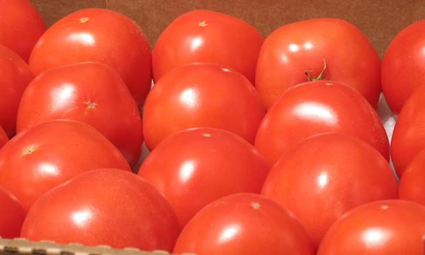 Hybrid, greenhouse-grown tomatoes from Stokes Farm Hybrid, greenhouse-grown tomatoes from Stokes Farm