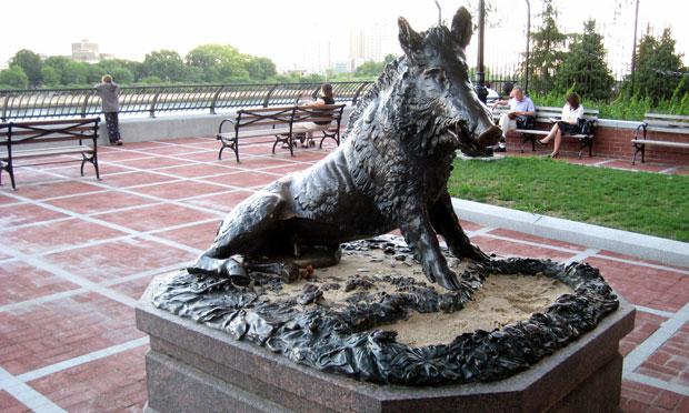 The bronze wild boar 'Porcellino' sculpture by Pietro Tacca in Manhattan's Sutton Place Park. The bronze wild boar 'Porcellino' sculpture by Pietro Tacca in Manhattan's Sutton Place Park.