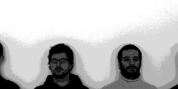 Belgian-Dutch Guitar Quartet, Zwerm