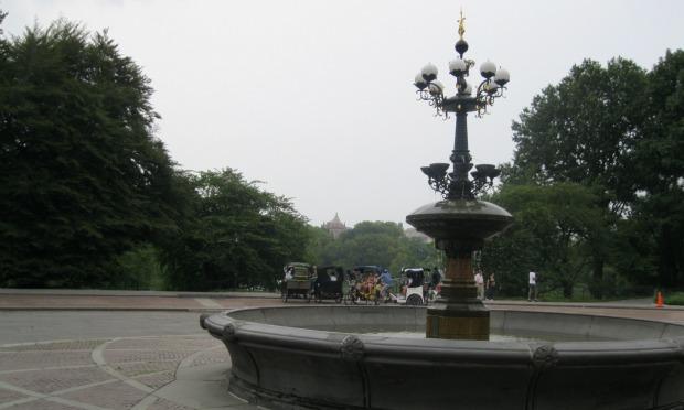 Cherry Hill, the site of a new redesign in Central Park, today. Cherry Hill, the site of a new redesign in Central Park, today.