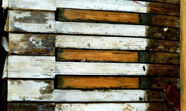 The Piano in the Woods II