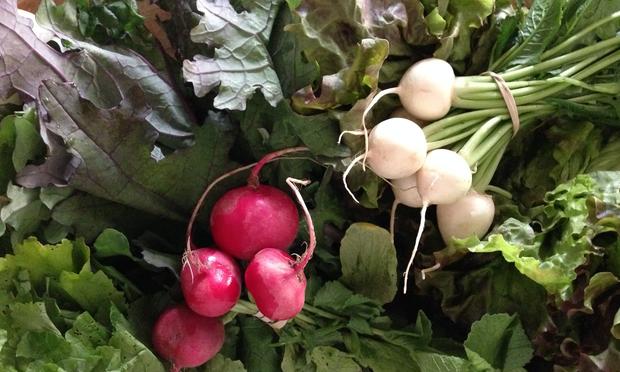 A CSA share means a lot of fresh, organic vegetables, but it can be hard to always know how to prepare them. CSA share vegetables