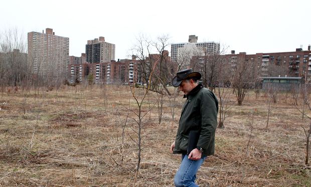 Rich Hallett with the U.S. Forest Service examining trees damaged by rats in Kissena Corridor Park, Queens in April 2014. Rich Hallett with the U.S. Forest Service examining trees damaged by rats in Kissena Corridor Park, Queens in April 2014.
