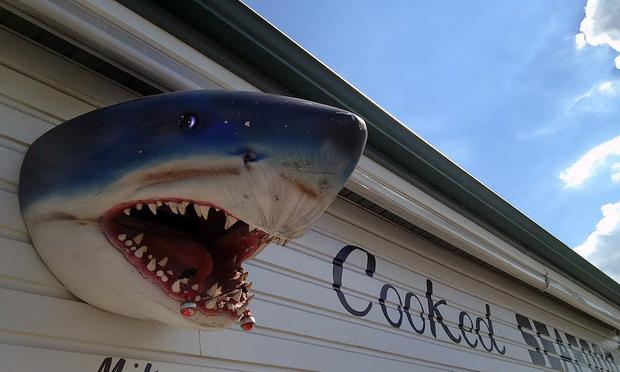 Shark imagery persists in Matawan, NJ, the site of a fatal attack.