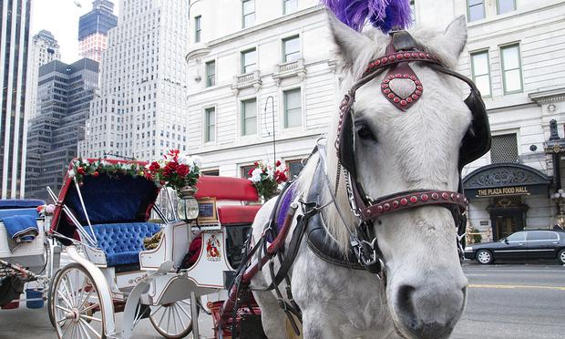 Mayor de Blasio wants to ban the use of horse-drawn carriages in Central Park by the end of the year. Mayor de Blasio wants to ban the use of horse-drawn carriages in Central Park by the end of the year.
