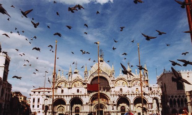 Piazza San Marco and pigeons