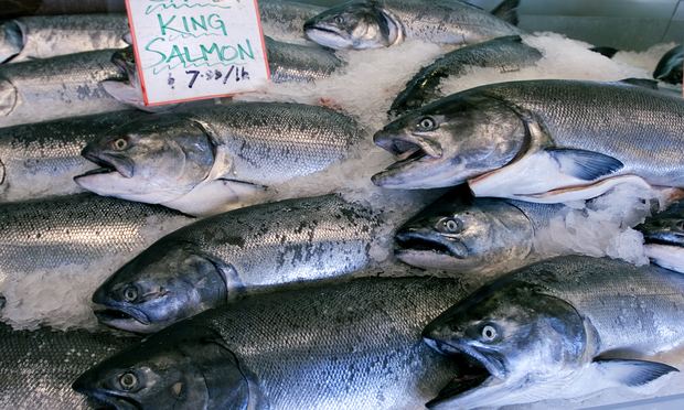Wild King salmon in Seattle's Pike Place Market Wild King salmon in Seattle's Pike Place Market