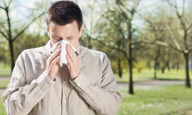 Allergies often cause sneezing. Allergies often cause sneezing.