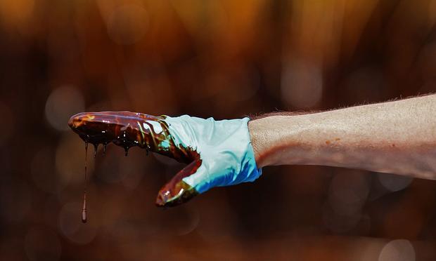 A hand covered with crude oil points to an oiled marsh where oil has come ashore May 26, 2010 in Blind Bay, Louisiana.