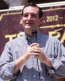 Ted Cruz speaking at a Tea Party Express rally in Austin, Texas.