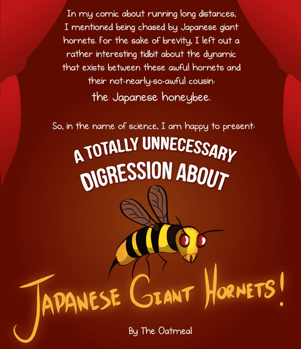 A totally unnecessary digression about Japanese giant hornets by The Oatmeal.