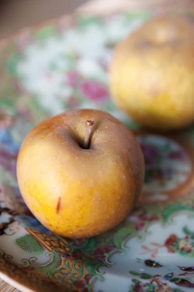 Apples of Uncommon Character: Heirlooms, Modern Classics, and Little-Known  Wonders