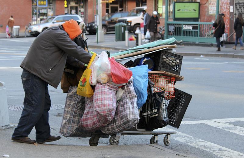 Stemming New York City's 'inherited' Homelessness Problem - The Brian 