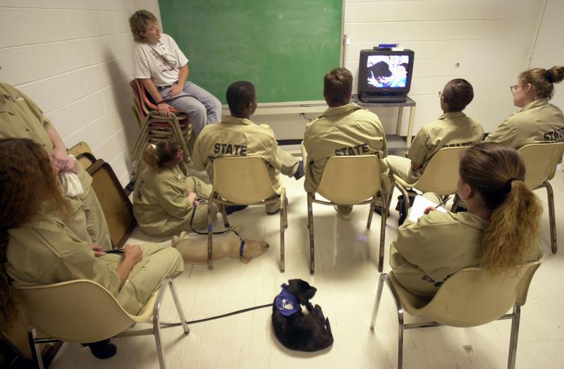Georgia prison inmates go through classroom time with their Labrador puppies during guide dog training at Metro State Prison August 27, 2002 in Atlanta, Georgia.