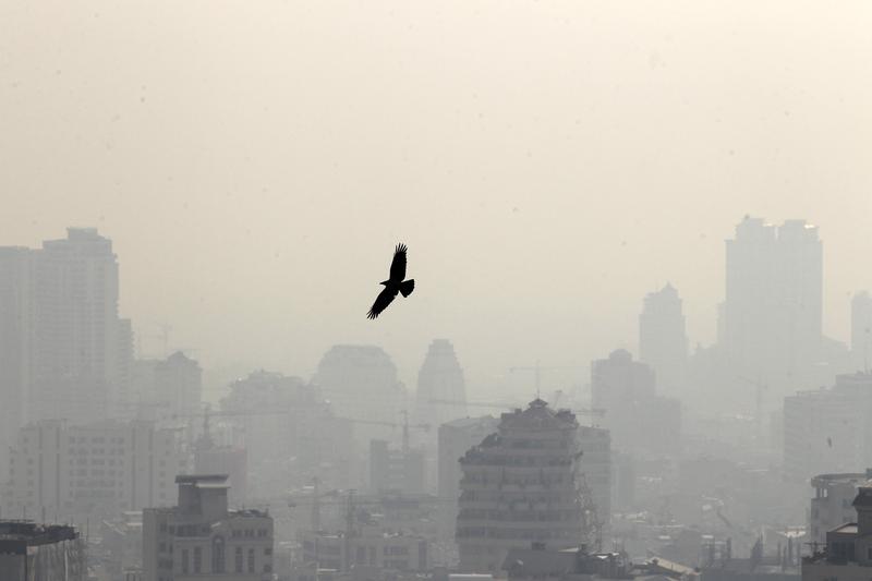 A bird flying in front of buildings in the Iranian capital Tehran.