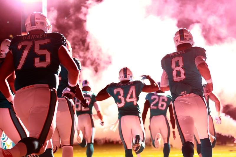 The Miami Dolphins enter the field prior turnover the game against the Cincinnati Bengals at Sun Life Stadium on October 31, 2013 in Miami Gardens, Florida.