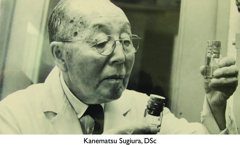 Kanematsu Sugiura, DSc, was studying "Laetrile," a potential new treatment for cancer, at Memorial Sloan-Kettering Cancer Center in the 1970s.