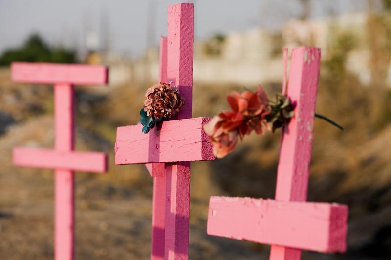 Pink wooden crosses are seen in the place where the corpses of eight murdered women were found in 2001, in Ciudad Juarez, state of Chihuahua, north Mexico, on May 28, 2008.