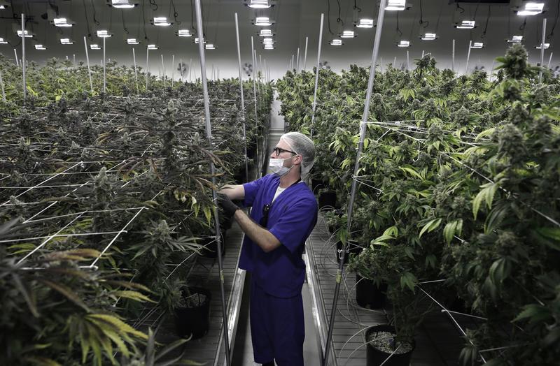 Recreational marijuana sales begin in Sparks