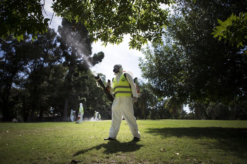 Fumigation in Buenos Aires, Argentina, to control the Aedes aegypti mosquito.