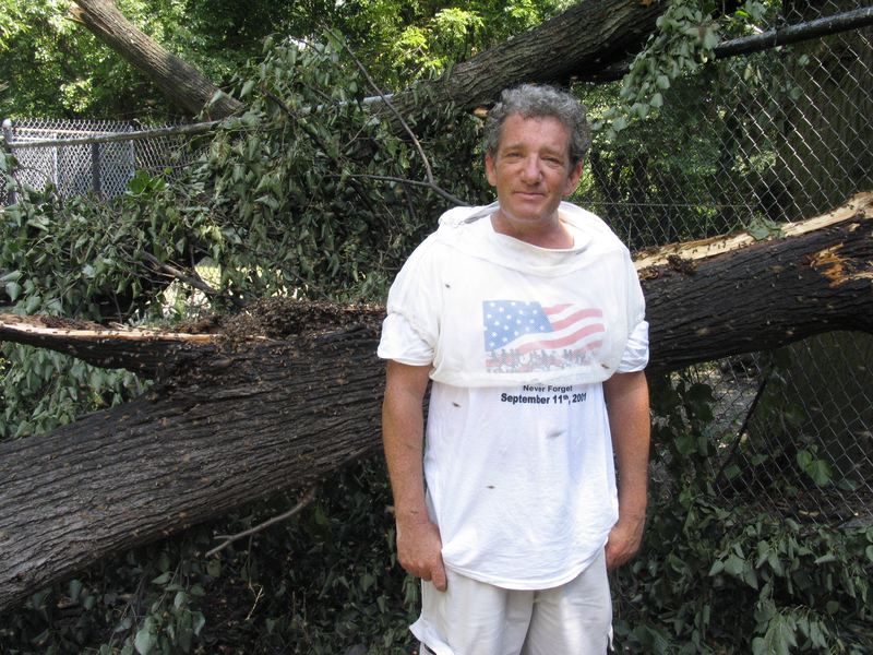 Beekeeper Jim Fischer and a fallen bee tree in need of rescuing.
