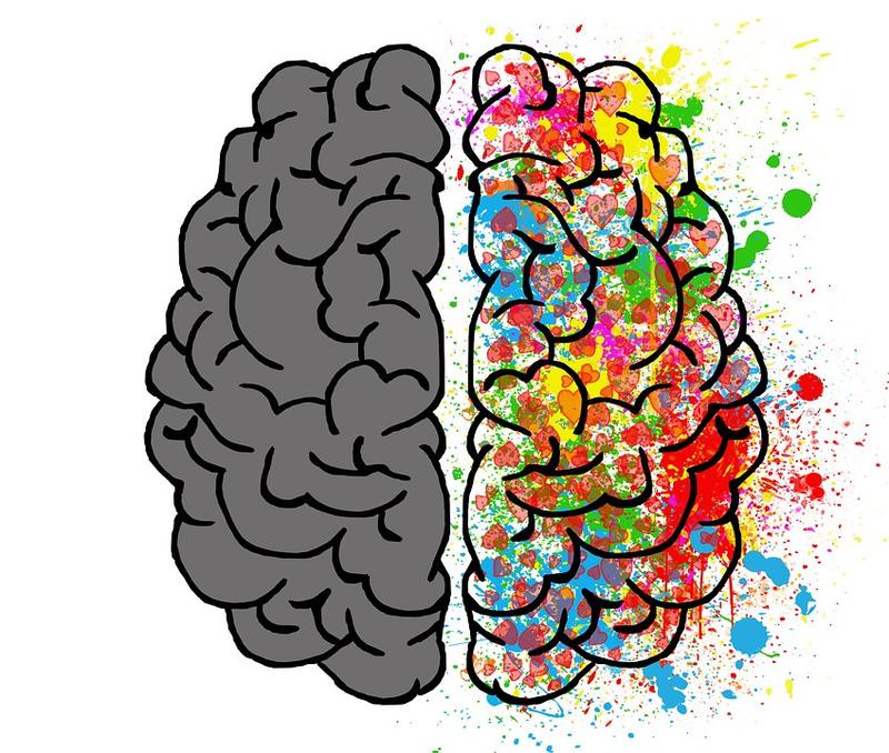 One of America's cultural divides revolves around higher learning vs. common sense
