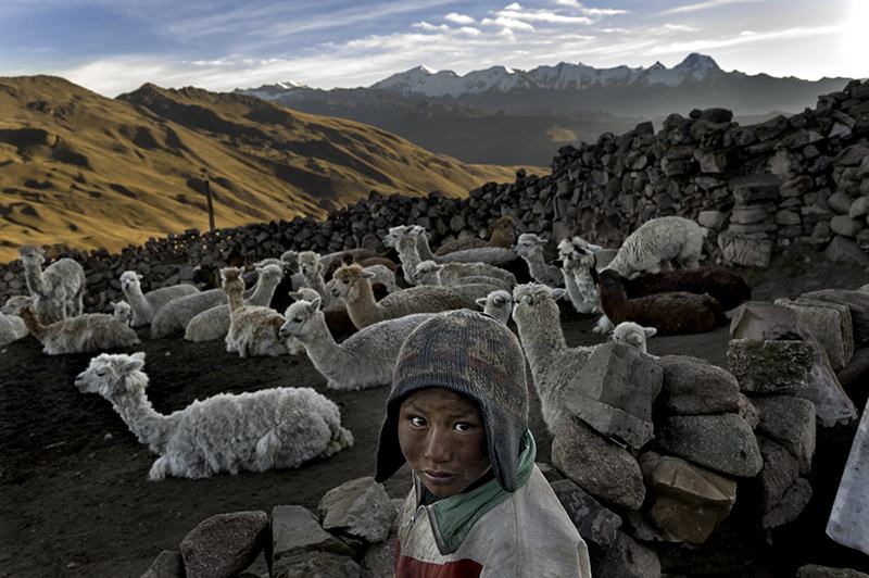 Bolivia - Alvaro Kalancha Quispe, 9, opens the gate to the stone pen that holds the family’s alpacas and llamas each morning so they can graze throughout the hillsides during the day.