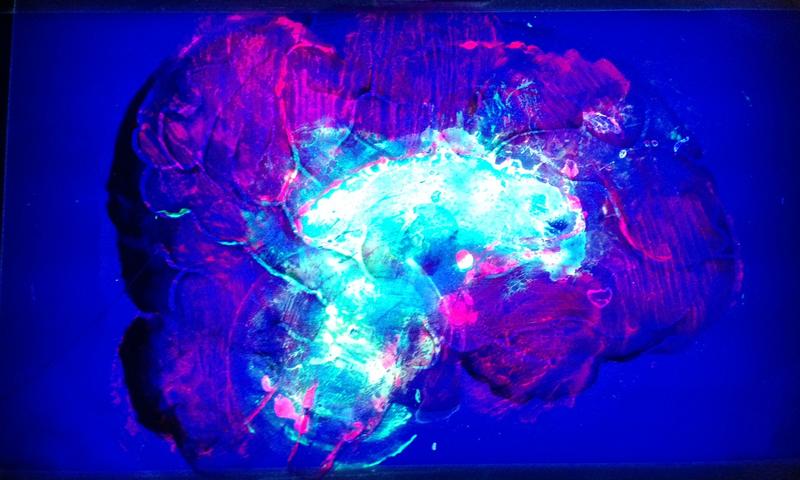 "Brain," from <em>Communicating Through Human Energy & Fluorescent Bacteria</em>, 2015. Paint and GFP-modified bacteria on polysterene with UV backlight